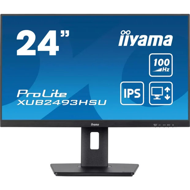 Монитор Iiyama ProLite XUB2493HSU-B6